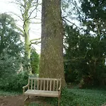 Au Vieux Cedre 3*