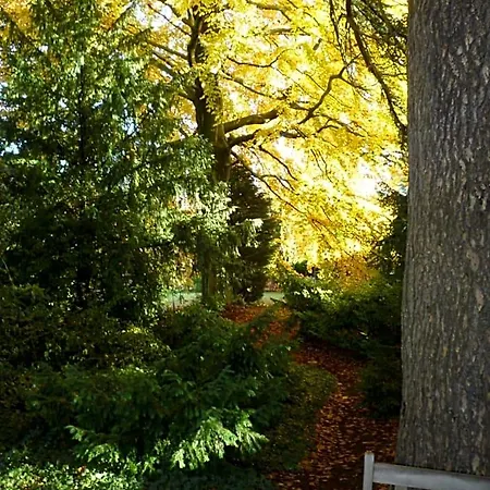 B&B Au Vieux Cedre Mouvaux