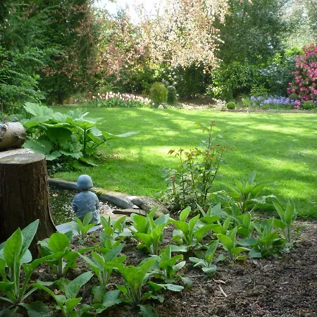 Au Vieux Cedre Mouvaux