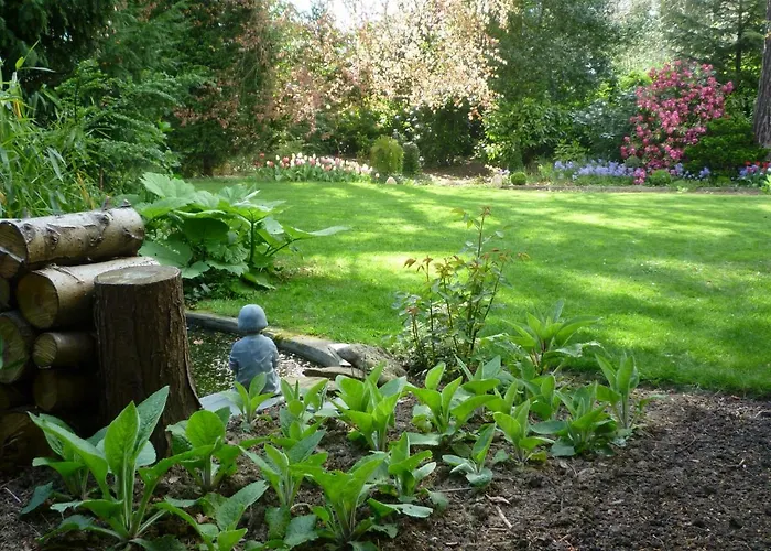 Au Vieux Cedre Mouvaux