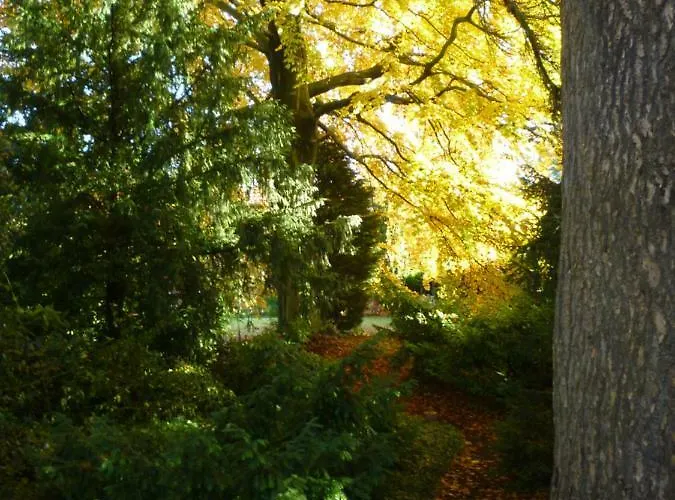 Bed & Breakfast Au Vieux Cedre